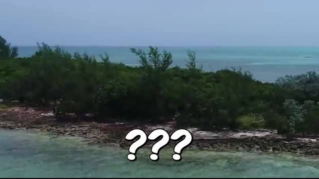 I Spent $1,000,000 On Lottery Tickets and WON