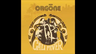 Orgone - The Cleaner