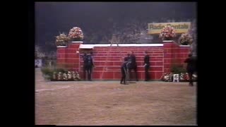 David Broome - Mr Ross - 2.26 m Puissance at Olympia London 1980
