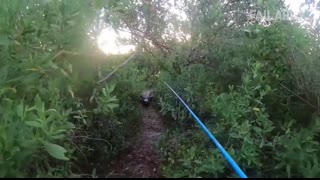 Damn Nature You Scary   Funny Scary Animal Encounters