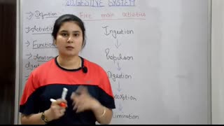 Digestive system anatomy & physiology in hindi   functions   walls   layers of GI tract
