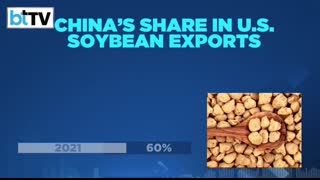 China Cuts Off U.S. Soybeans, Hits Rare Earths   Trump’s Trade War Turns Costly