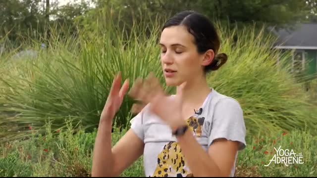 Gentle Yoga - 25 Minute Morning Yoga Sequence   -  Yoga With Adriene