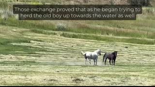 I’m so glad I didn’t stop filming!