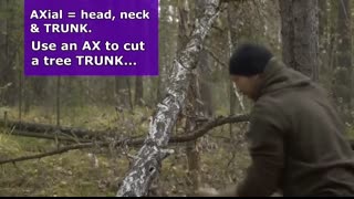 Regional Terms Anatomy - Body Parts Name   Nursing Medical Terminology Made Easy