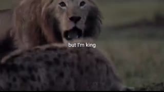 LION MENTALITY - Motivational Video