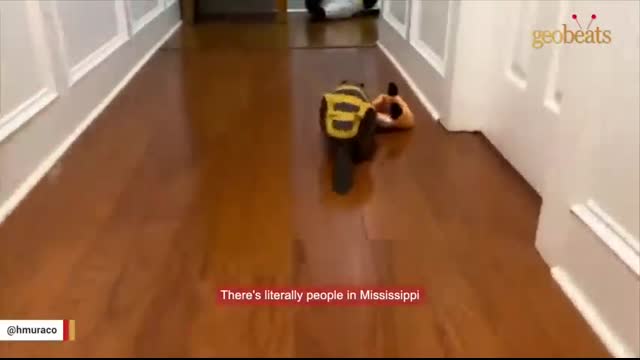 Rescue beaver builds dam with stuffed toys