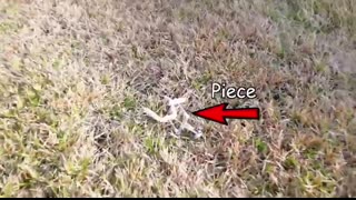 I simulated NATURAL DISASTERS in LEGO...