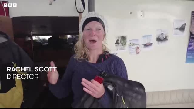 Orca released from captivity thrives in the wild   Behind the Scenes of Frozen Planet II   BBC Earth