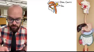 Digestive Tract Anatomy and Physiology