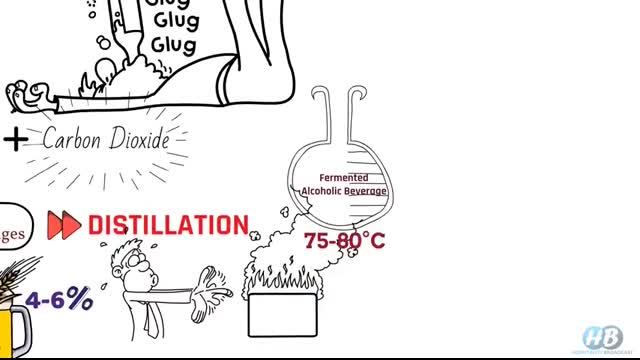 Difference between Alcoholic Beverages Wine Whiskey Rum Gin Vodka Tequila Brandy Alcohol percentage