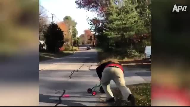 Try Not to Laugh Challenge ? Best Fails of 2024 So Far