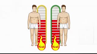 Targeting Belly Fat Is POSSIBLE! (New Study)