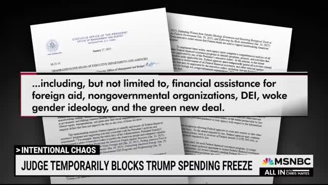Trump funding freeze is ‘chaotically spiteful madness,’ says Chris Hayes