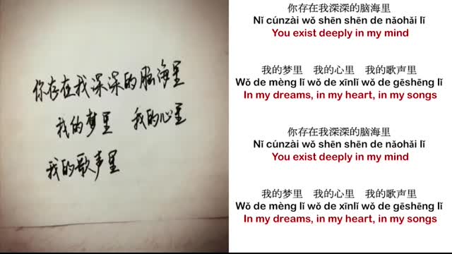 Qu Wanting曲婉婷 - Wo De Gesheng Li(You Exist In My Song) - 我的歌声里 - Pinyin Subs + English Translation