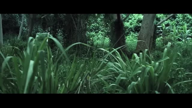 Warlords MUST FEAR BRUCE WILLIS ｜ Best Action Scenes ｜ TEARS OF THE SUN (2003)