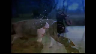 Eurythmics, Annie Lennox, Dave Stewart - Sweet Dreams (Are Made Of This) (Official Video)