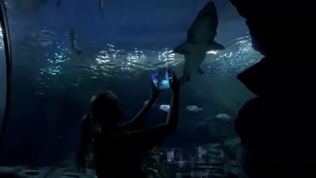 Inside The $325 Million Dollar Octopus Super Yacht