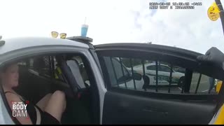 Woman Playing ‘Stealing Game’ at Walmart Busted with Large Stash of Drugs