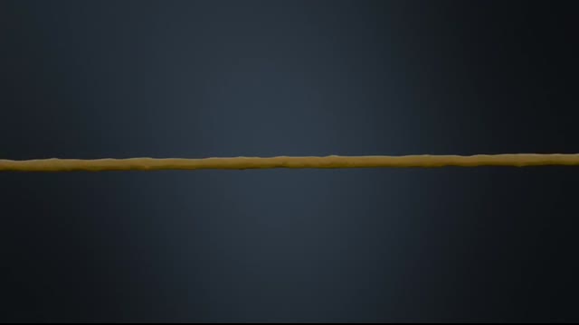 Human Nervous System (Part 1) - Spinal Cord and Periphery (Animation)