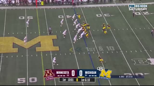 Minnesota Golden Gophers vs. No. 12 Michigan Wolverines Highlights   FOX College Football