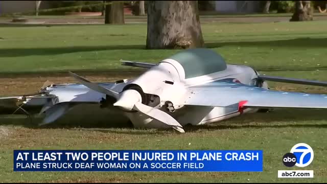 Small plane hit deaf woman walking dog when it crashed on Long Beach soccer field, family says