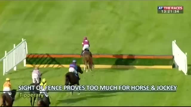Horse racing thrills and spills - Horse says no!