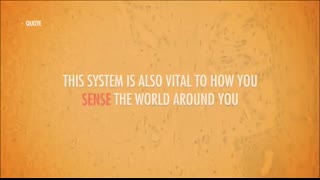 The Integumentary System, Part 2 - Skin Deeper Crash Course Anatomy & Physiology #7