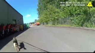 Police K9  Jedi  Hunts Jail Escapee Hiding in Industrial Warehouse