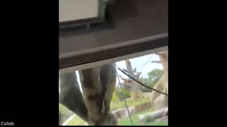 Fishermen Escape Just in Time