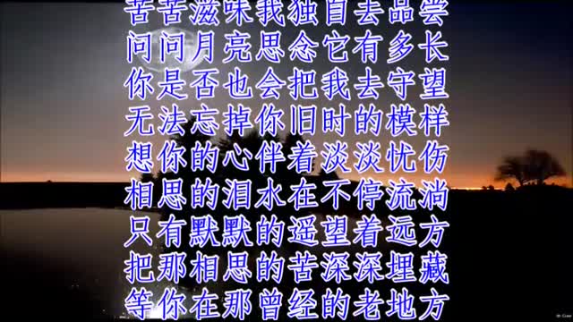 想你的时候问月亮   梅朵    +   lyrics