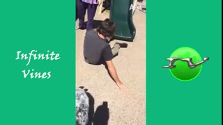 IMPOSSIBILE CHALLENGE  Try Not To Laugh   Funniest AFV Vines 2024