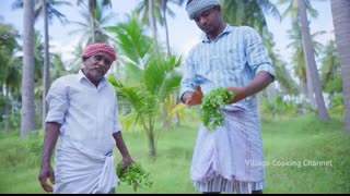 BAMBOO CHICKEN   Chicken Cooking in Bamboo   Direct Fired Bamboo Chicken Recipe Cooking in Village