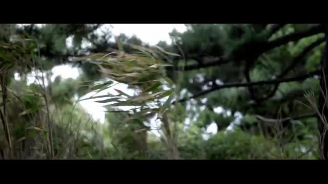 Peace Through Partnerships! Marine Exercise Program 25.2