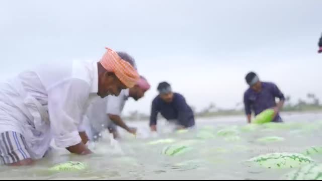 WATERMELON JUICE   Farm Fresh Fruit Juice Making   Watermelon Craft   Watermelon Experiment