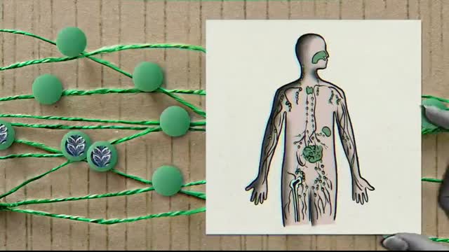 How do doctors determine what stage of cancer you have - Hyunsoo Joshua No and Trudy Wu