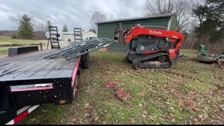Picking Up Our Angus Bull Will It Be Calm Or Chaos   Midwest Homesteading