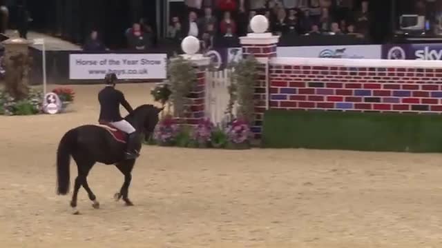 Volcano Tagg Puissance HOYS 2013