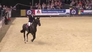 Volcano Tagg Puissance HOYS 2013