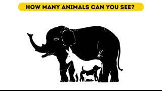 12 Riddles That Reveal Your True Personality Type