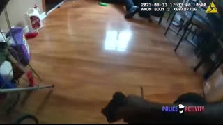 Intense Video Shows Chicago Police Officers and Suspect Struggle Over Gun in Deadly Confrontation