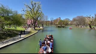 #7 MAGIC at #2 CELTICS   FULL GAME 1 HIGHLIGHTS   April 20, 2025