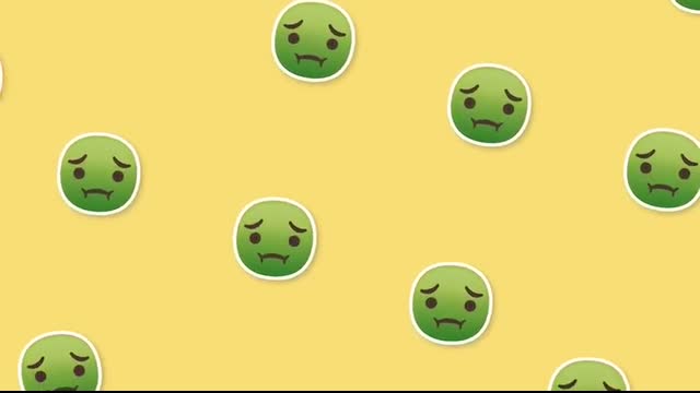 20 Biggest Fruits & Vegetables Ever Recorded