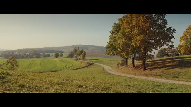 Inglourious Basterds Opening Scene FULL