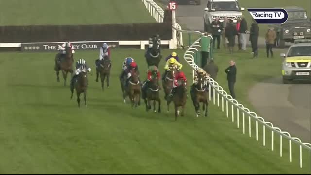 INCREDIBLE finishes at the Cheltenham Festival