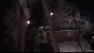 Home Alone (Full Movie)