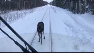 Momentos Increíbles de Trenes Captados por las Cámaras