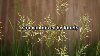 Counting Crows - Mr. Jones (Lyric Video)