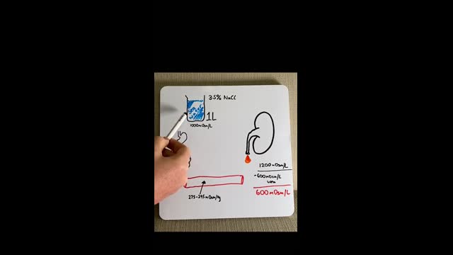 Why Humans cant drink seawater in under 2 mins!