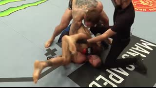 The Most UNEXPECTED Finishes in UFC History ?